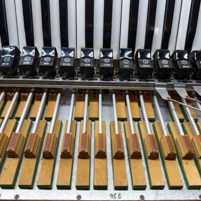 Guerrini Folk 120-Bass Accordion – 5 Reeds, Dual Dry/Musette Tuning ("Two Accordions in One") image 15