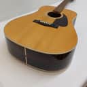 FENDER  F-230