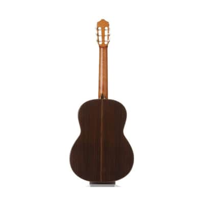 Cordoba C7 SP/IN Nylon-String Classical Acoustic Guitar Natural image 8