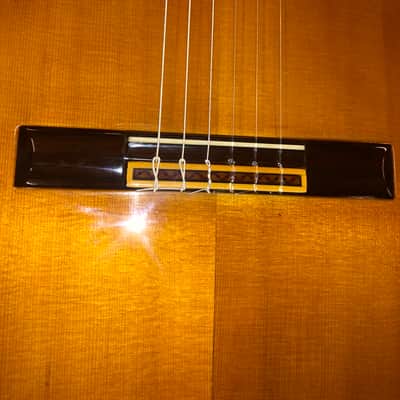 Guitarra Manuel de la Chica Edición Especial 1967 image 7