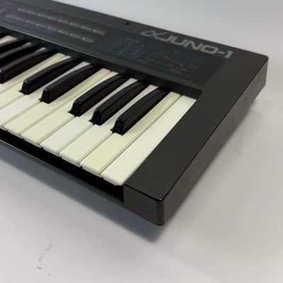 Roland Alpha Juno-1 49-Key Programmable Polyphonic Synthesizer (Serviced / Warranty) image 7