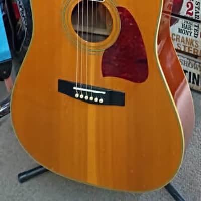 Ibanez Artwood AW Series Dreadnought 1996 - Natural image 1