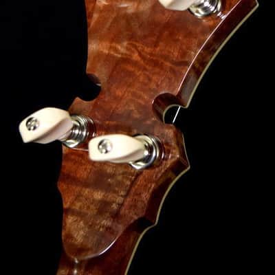 Stelling Master's Cross Banjo image 9