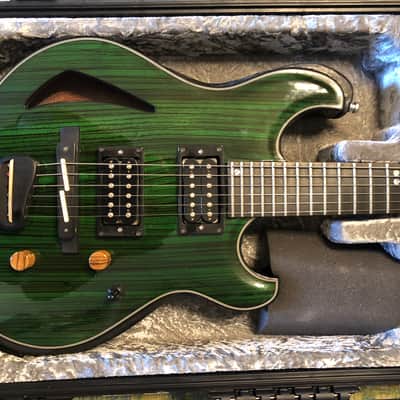Equator Instruments Languedoc style Hollowbody Guitar image 1