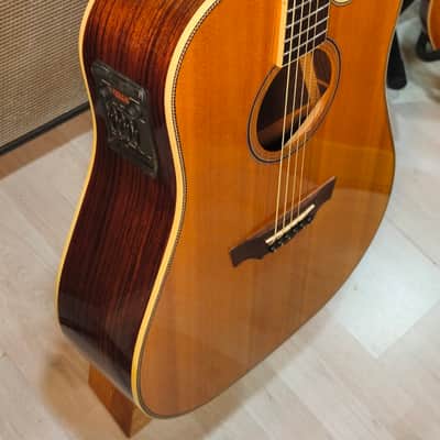 Parkwood PW-560 Electrified with Gigbag image 9