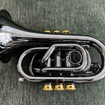 Carol Brass Blackhawk Pocket Mini Trumpet 2022 image 2