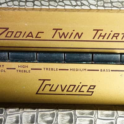 1963 Selmer Truvoice Zodiac Twin 30 image 8