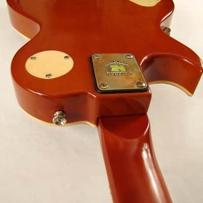 Tony Cochran Guitars Custom #50 "Lidia" 2015 - Aged Leather & Chrome image 8