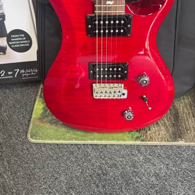 PRS S2 Custom 2019 image 8