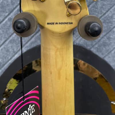 Sterling Jared Dines Signature StingRay Includes in USA FretWerx Complete In USA Setup! image 9