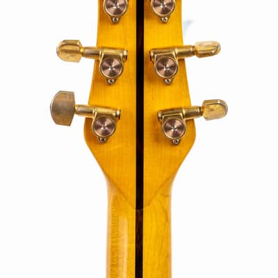 Daion The Year Series '81 Caribou - Tinted Tan (TAN) - Electric Acoustic Six String image 18
