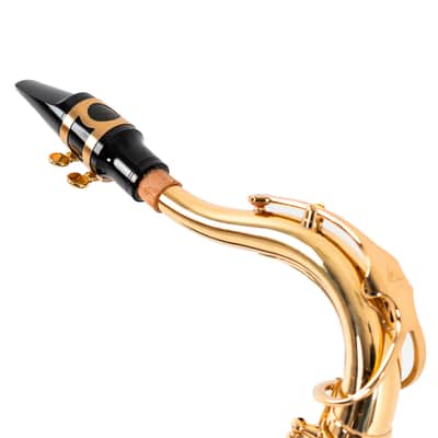 Antigua Vosi TS2155LQ Bb Tenor Saxophone. All-Lacquer Body image 2