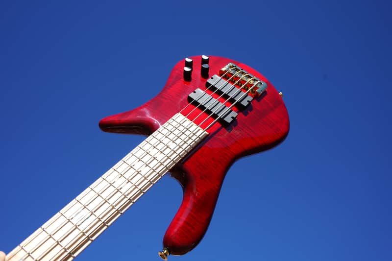 Spector Euro 5 LX Maple Fingerboard – Black Cherry Gloss 5-String Electric Bass Guitar image 1