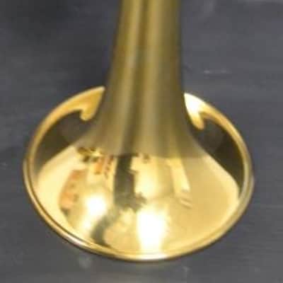 Trompeta Sib Stomvi Master Titanium muy buen estado. image 17