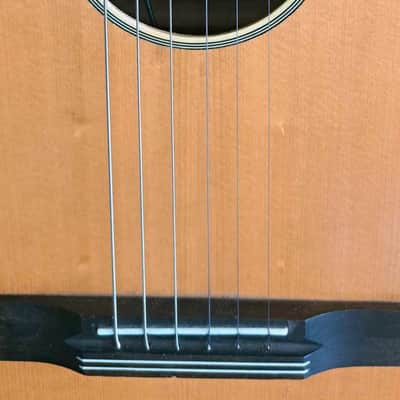 HARMONIE Folk/blues parlor with 3 piezo pickups 1960 image 18