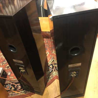 Digital Research PT-1100S Digital Three-Way/Four Speakers(pair for floor) 2000’s Glossy Dark Brown Wood image 5