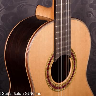 Otto Vowinkel 1A Concert Guitar , Cedar/Brazilian rosewood B & Sides image 5