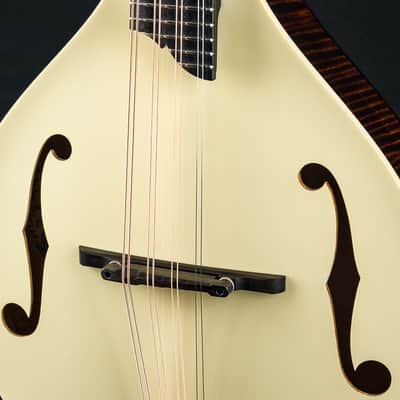 Collings MT Mandola Cream Gloss Top Adirondack Spruce and Flamed Maple NEW image 8
