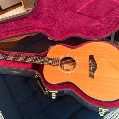 1995 Taylor GA-WS Limited Edition Acoustic Guitar w/OHSC image 3