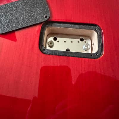 Taylor Taylor Solid Body - SB-X 2010 - Gloss image 12
