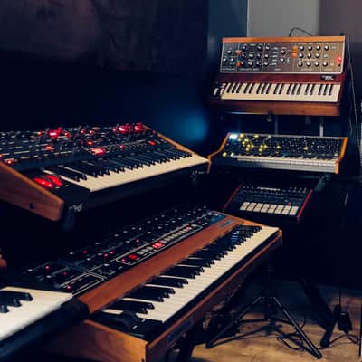 Moog Minimoog Model D Reissue 44-Key Monophonic Synthesizer (2022) image 4