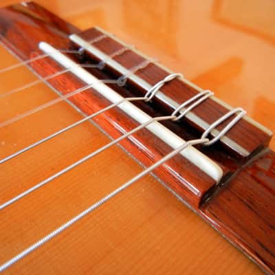 Lucida Artista Picado LG-725 flamenco guitar image 4