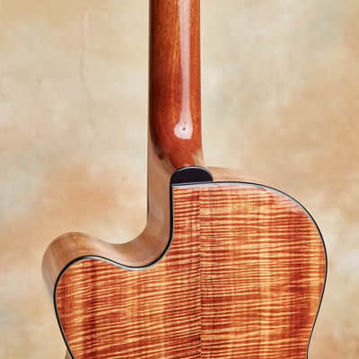 Linda Manzer Fanfret Baritone Acoustic image 11