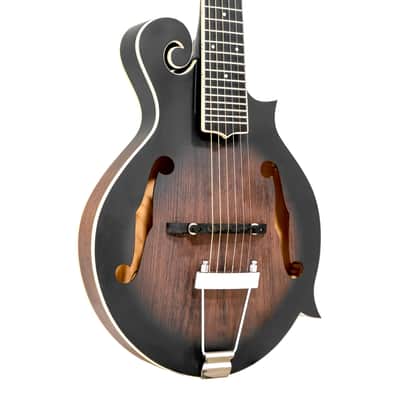 Gold Tone F-6: F-style Mando-Guitar with Pickup and Case image 2