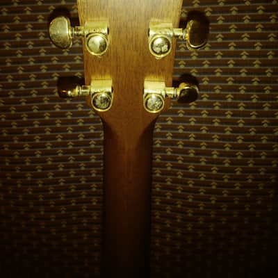 Taylor 510 LTD 2002 image 4