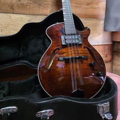 Pre-owned Eastman ERM El Rey Acoustic/Electric Mandolin w/case image 20
