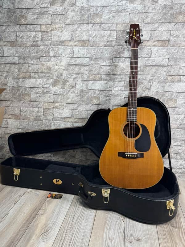 Jasmine by Takamine #S-33 Full-Size Dreadnaught Acoustic Guitar  with Hardshell Case image 1