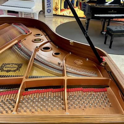 Yamaha PIANOFORTE A MEZZA CODA C3 LIMITED EDITION image 12