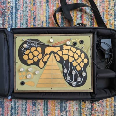 Soma Laboratory Enner 5-Voice Synthesizer with Case and Power Supply image 3