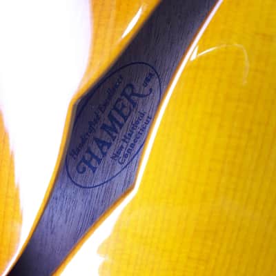 Hamer USA Newport Pro 2004 image 9