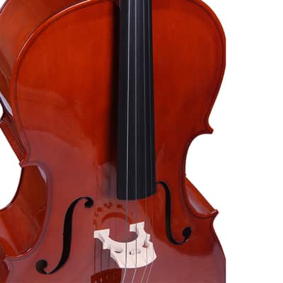 Calypso MC-760R Cello image 5