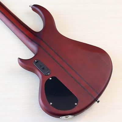Custom 5 String Electric Bass, Sapele Wood Body, 24 Frets Fingerboard Maple Neck image 5