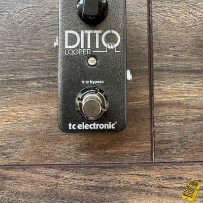 TC Electronic Ditto Looper image 2