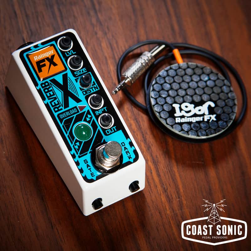 Rainger FX REVERB-X digital reverb and Igor | Reverb