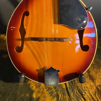 Alvarez A-100 Mandolin w/ TKL Hardcase image 5