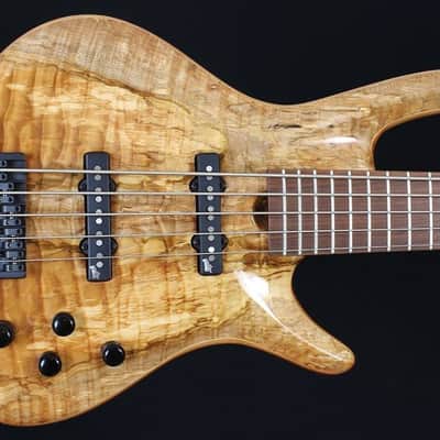 Roscoe 5 String Century Custom bass with amazing quilt/spalt top image 1