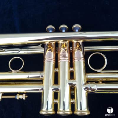 0.462 Mt Vernon Vincent Bach Stradivarius Lightweight STAR 25 trumpet case mouthpiece  gamonbrass image 18