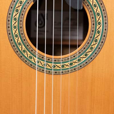 Jose Marques Tradicional Classical Guitar - Brazilian Rosewood with Hardshell Case image 15