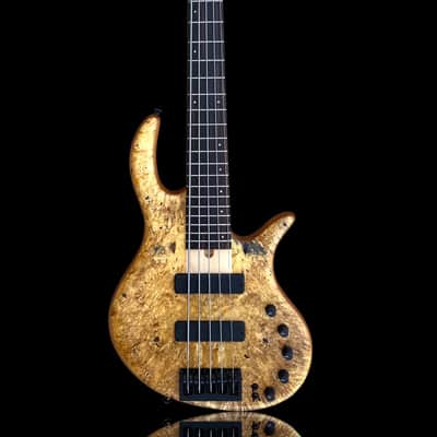 Elrick EVO Gold 5 String Horse Chestnut 2024 - Natural image 1