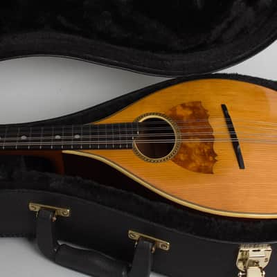Vega  Style 201 Flat Back, Bent Top Mandolin (1916), ser. #34381, black tolex hard shell case. image 14