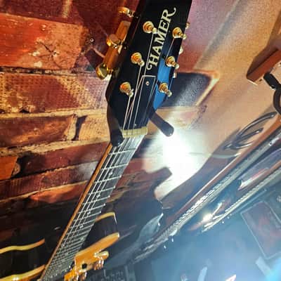 Hamer Echotone 335 Semi Hollow Body Electric Guitar image 9