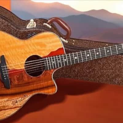 Luna Vista Eagle Tropical Wood Acoustic / Electric w/Case image 4