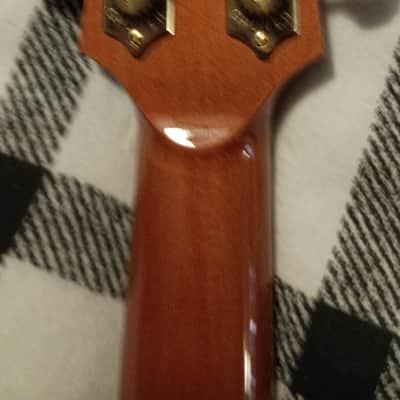 Laurie Williams Hihi Tenor Ukulele/Early 2000's - 40,000 year old Ancient Kauri!! image 7