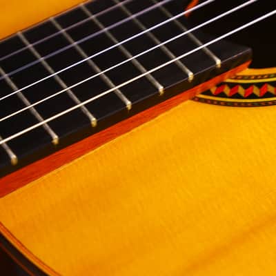 YuLong Guo 2014 chamber concert classical guitar - handmade high-end guitar in the style of a Greg Smallman + video! image 16
