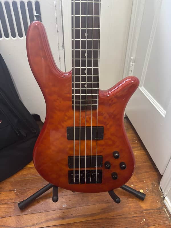 Spector Q5 Early 2000’s - Amber image 1