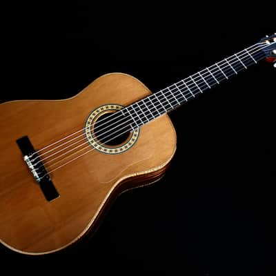 Custom Pegasus Guitar / Ukulelefriend.com image 1